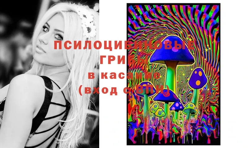 Галлюциногенные грибы MAGIC MUSHROOMS  omg ссылка  Лесной 